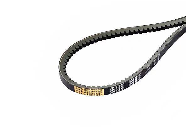 Cinghia trapezoidale dentata a bordo grezzo