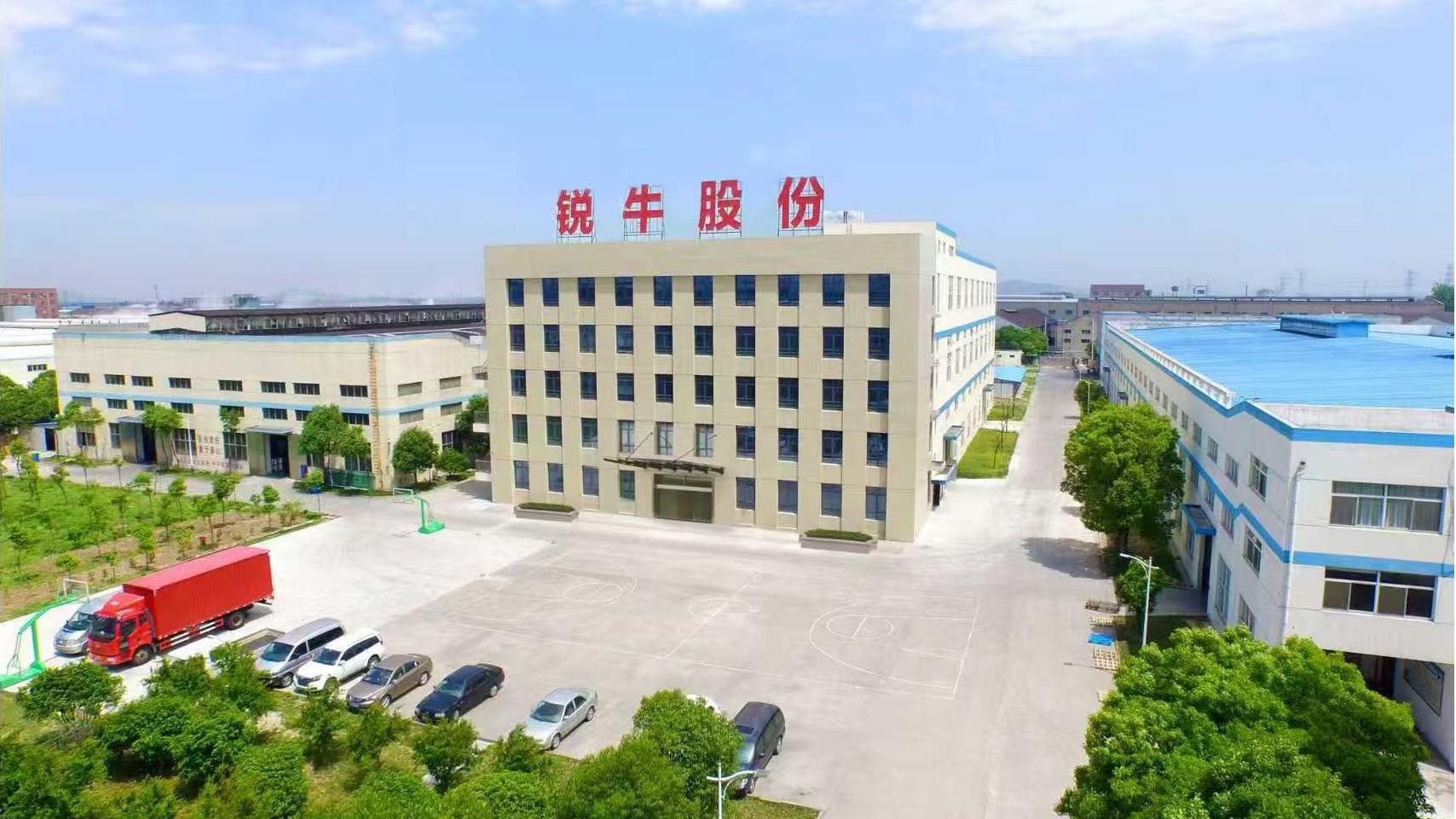 Cinghia trapezoidale dentata a bordo grezzo